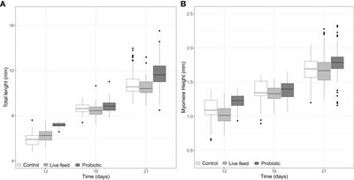 Pikeperch (Sander lucioperca) larval rearing optimization: utilization of lactic acid bacteria for improving microbiome diversity and digestive enzyme activity